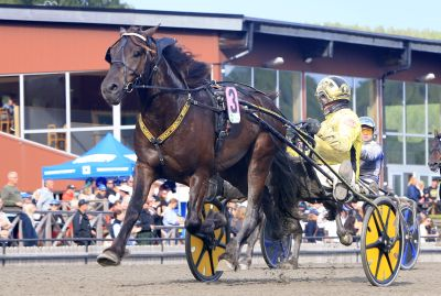 Bild från travets värld