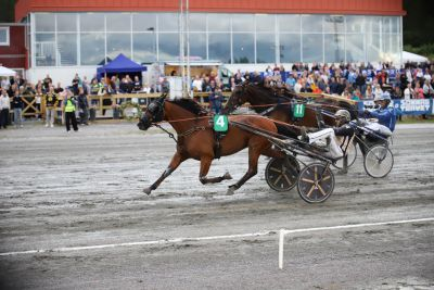 Bild från travets värld