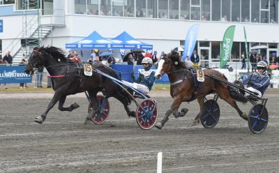 Bild från travets värld