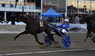 Bild från travets värld