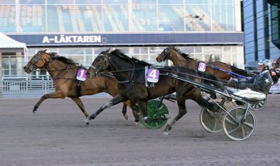 Bild från travets värld
