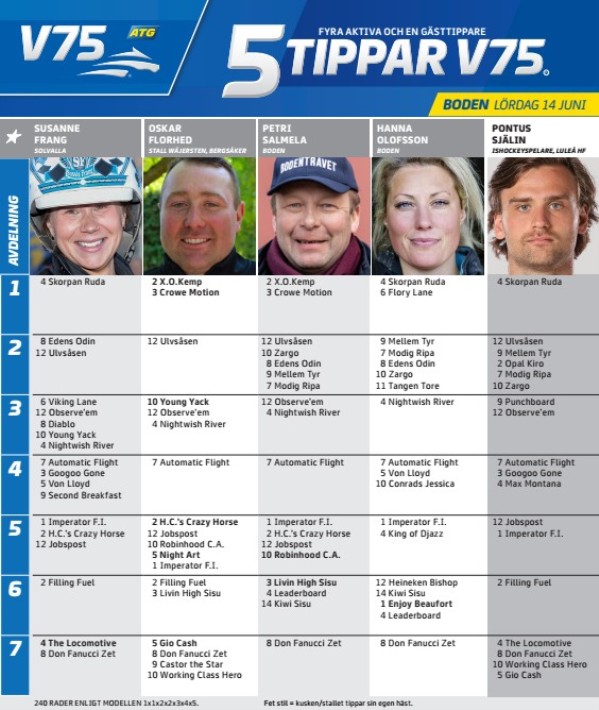 Fem tippar V75