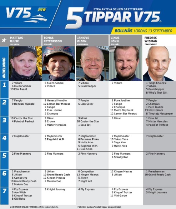Fem tippar V75